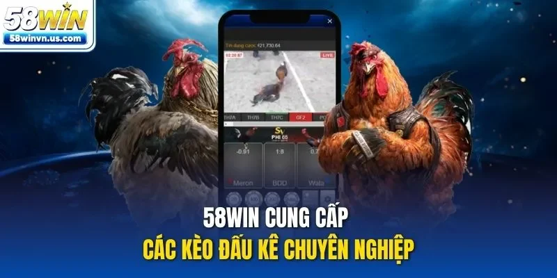 58WIN cung cấp các kèo đấu kê chuyên nghiệp